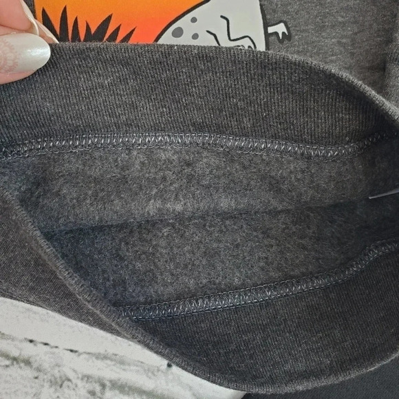 Grey and Black TREX Boys Fleece Lined Sweatshirt and Sweatpants Matching Set - Picture 9 of 9